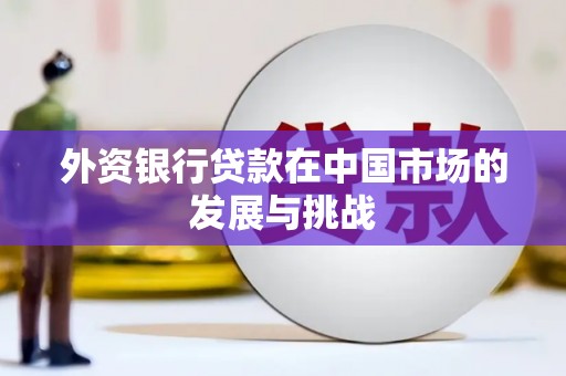 镇赉外资银行贷款在中国市场的发展与挑战